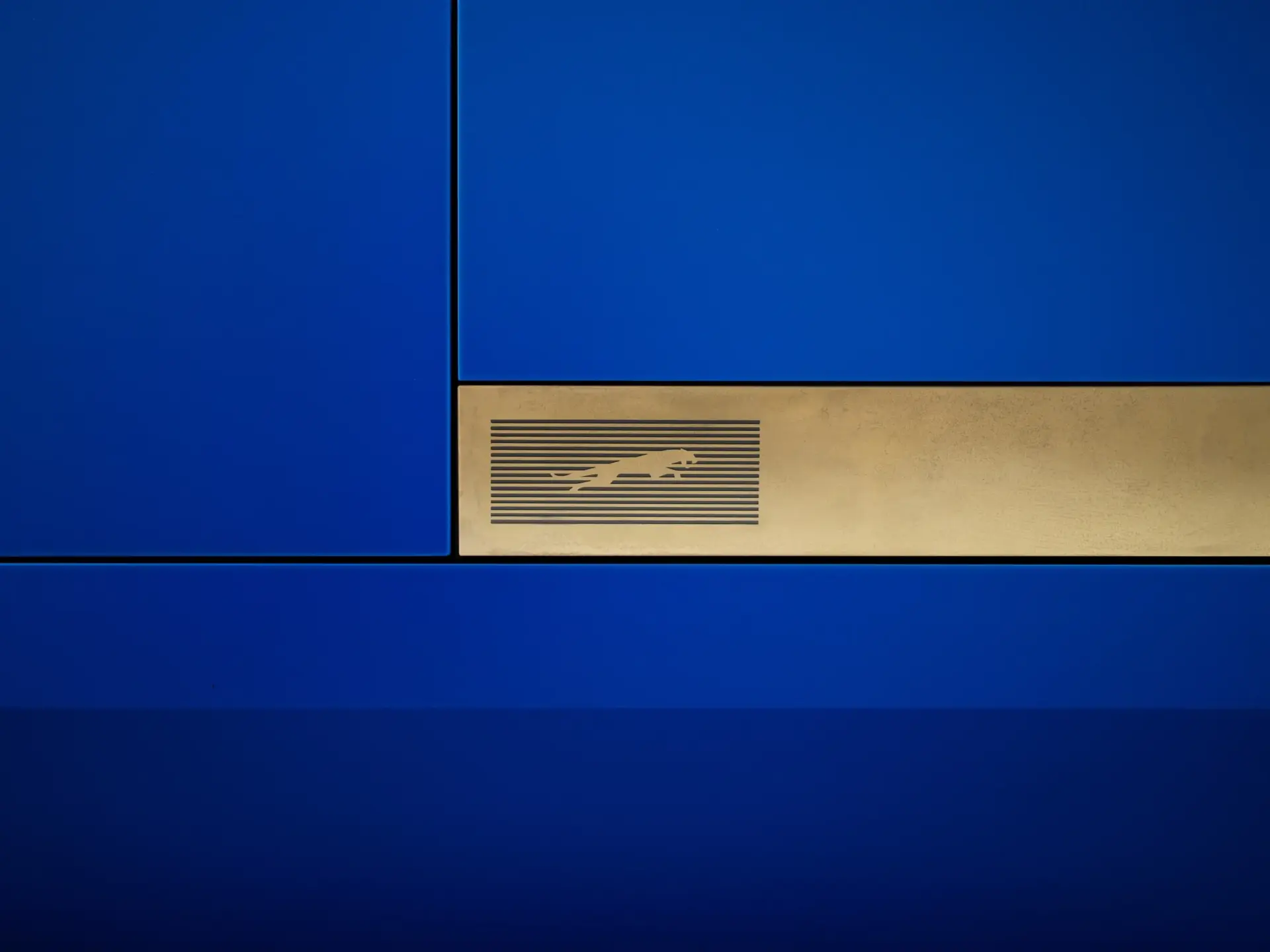 TYPE00 FRENCHULTRAMARINE LEAPER 260325